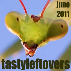 Indie 69 June 2011 Tasty Leftovers cover art